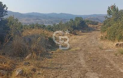 Bergama Sindelde İlçe Merkezine 10 dk mesafede Manzarali Arazi