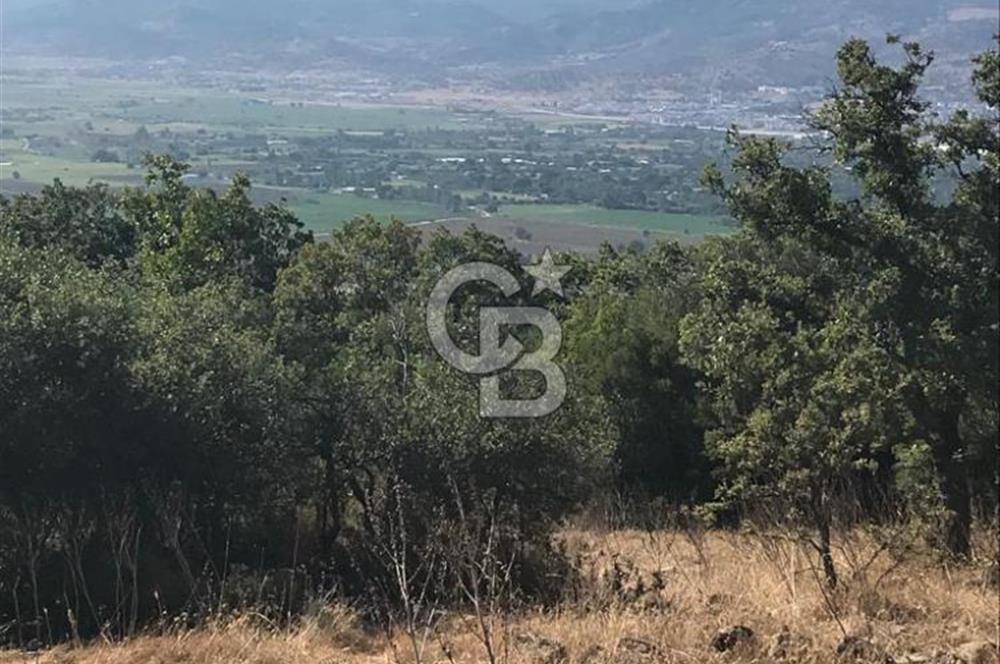 Bergama Sindelde İlçe Merkezine 10 dk mesafede Manzarali Arazi
