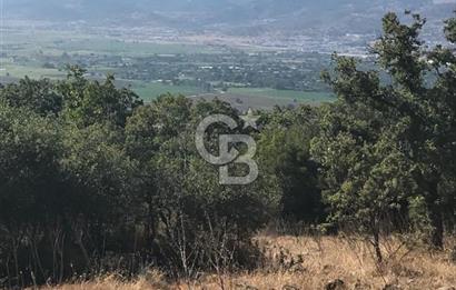 Bergama Sindelde İlçe Merkezine 10 dk mesafede Manzarali Arazi