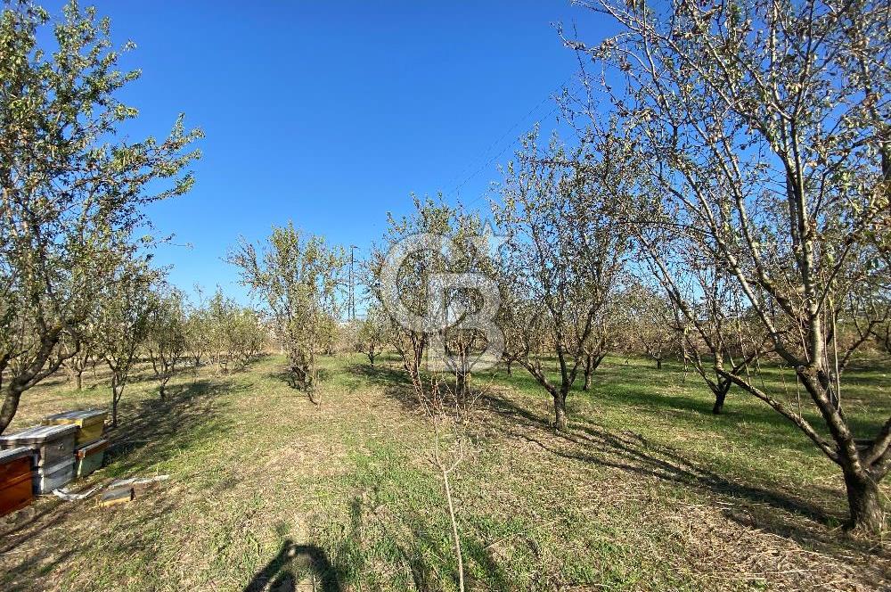 Edirne Merkez Tayakadın’da Satılık Tarla