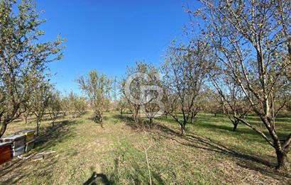 Edirne Merkez Tayakadın’da Satılık Tarla