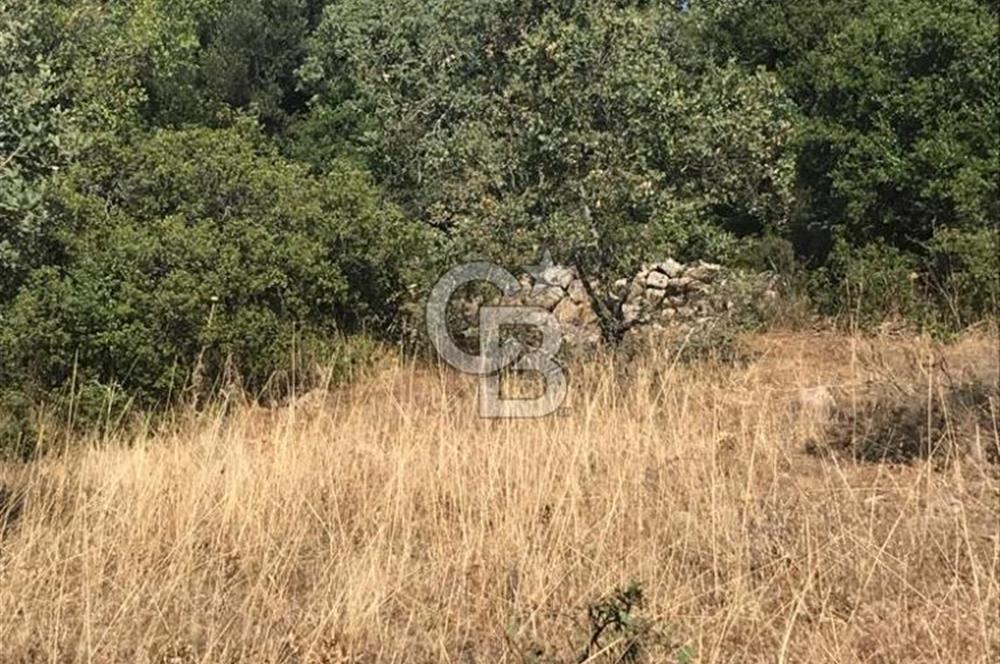 Bergama Sindelde İlçe Merkezine 10 dk mesafede Manzarali Arazi