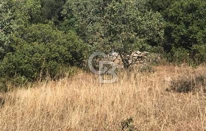 Bergama Sindelde İlçe Merkezine 10 dk mesafede Manzarali Arazi