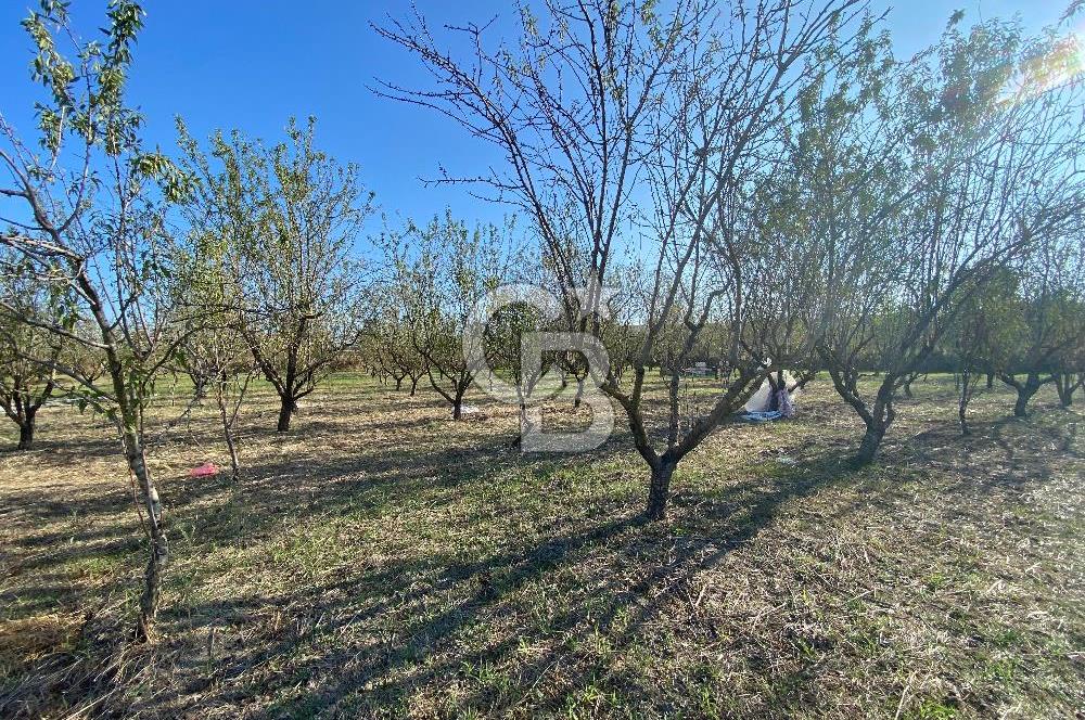 Edirne Merkez Tayakadın’da Satılık Tarla