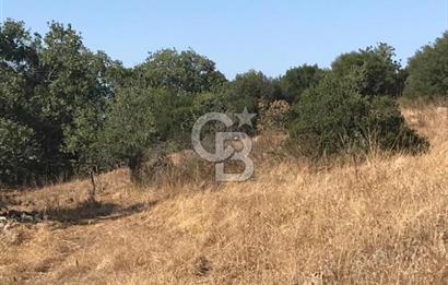 Bergama Sindelde İlçe Merkezine 10 dk mesafede Manzarali Arazi