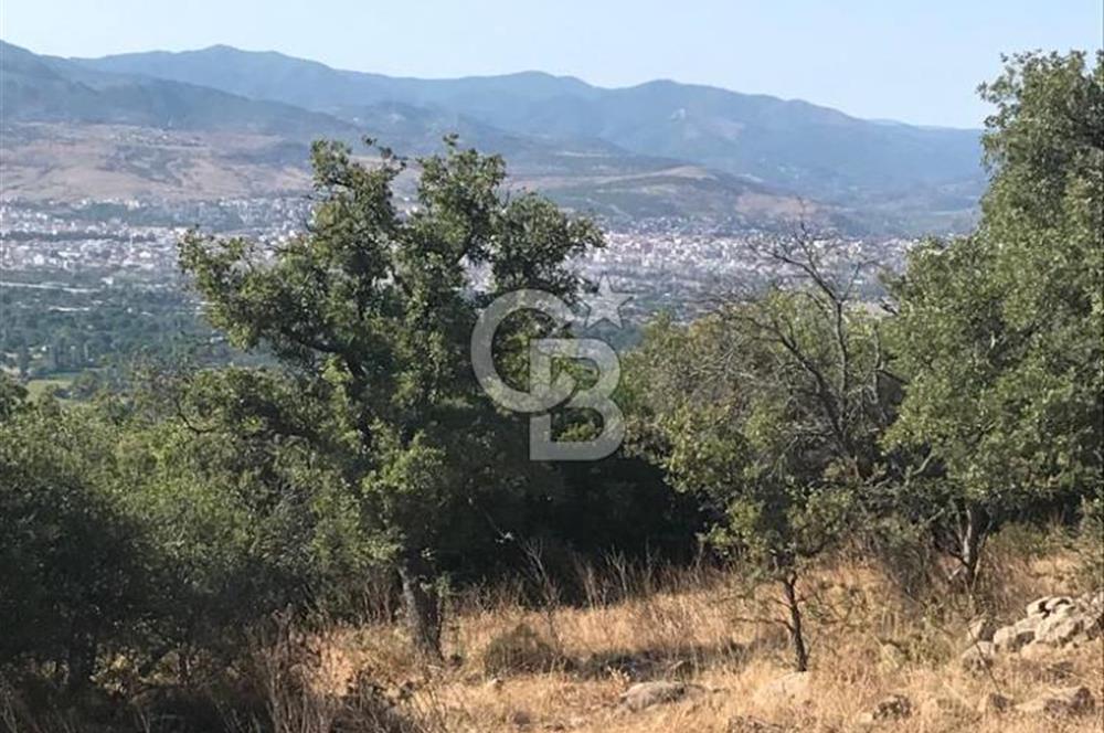 Bergama Sindelde İlçe Merkezine 10 dk mesafede Manzarali Arazi