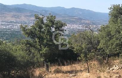 Bergama Sindelde İlçe Merkezine 10 dk mesafede Manzarali Arazi