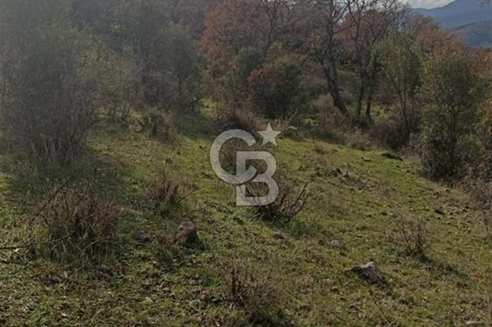 Bergamaya 5 dk mesafede çiftlik yapımına uygun fırsat arazi