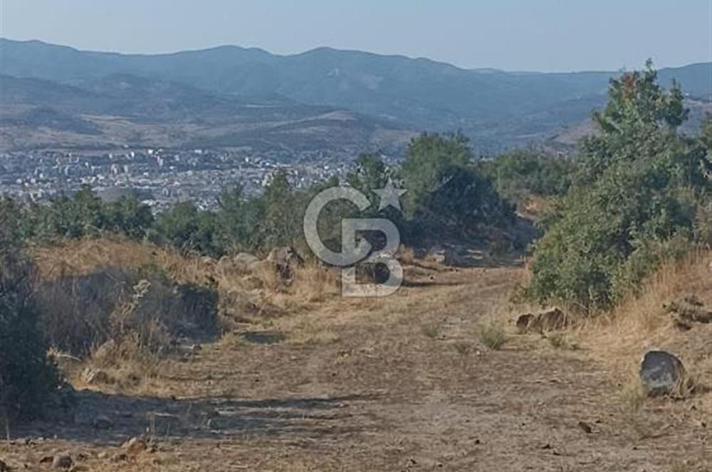 Bergama Sindelde İlçe Merkezine 10 dk mesafede Manzarali Arazi