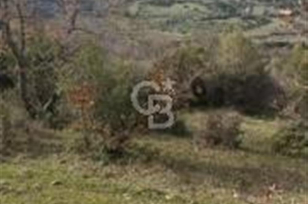 Bergamaya 5 dk mesafede çiftlik yapımına uygun fırsat arazi