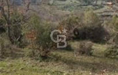 Bergamaya 5 dk mesafede çiftlik yapımına uygun fırsat arazi