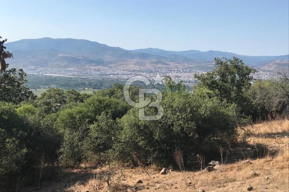 Bergama Sindelde İlçe Merkezine 10 dk mesafede Manzarali Arazi