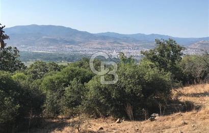 Bergama Sindelde İlçe Merkezine 10 dk mesafede Manzarali Arazi