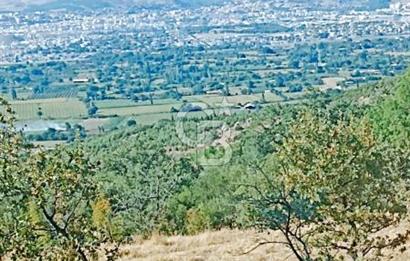 Bergama Sindelde İlçe Merkezine 10 dk mesafede Manzarali Arazi