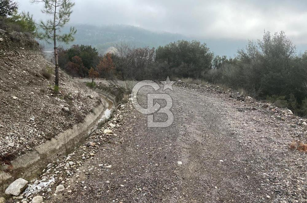 Acıpayamda köyiçi imarlı şelalere 30 dk mesafede parseller