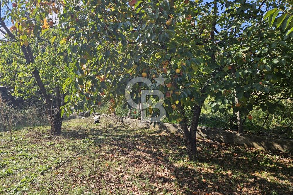 BURSA CUMALIKIZIKTA HARİKA KONUMDA BAHÇE