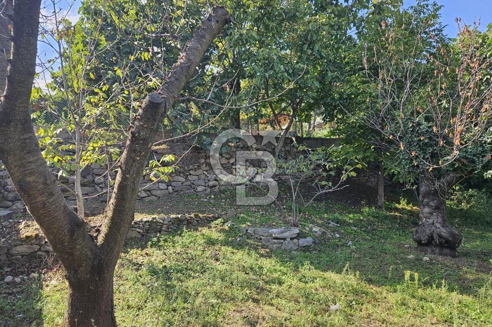 BURSA CUMALIKIZIKTA HARİKA KONUMDA BAHÇE
