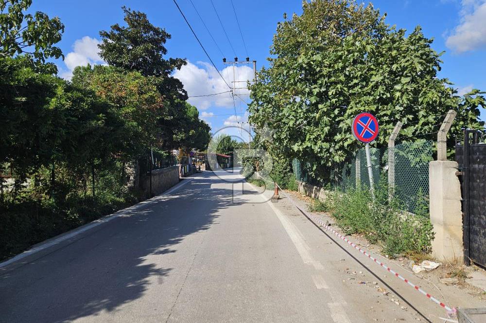 BURSA CUMALIKIZIKTA HARİKA KONUMDA BAHÇE