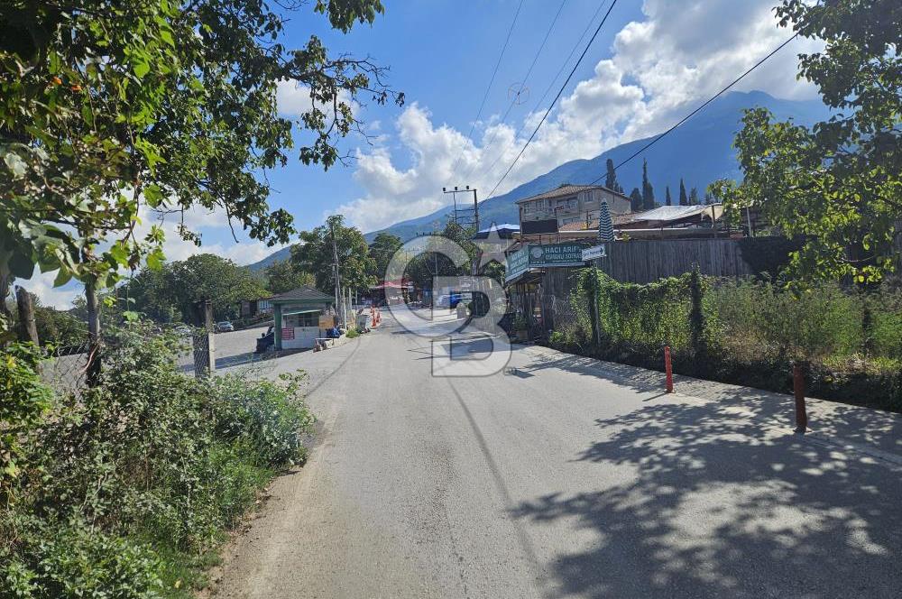 BURSA CUMALIKIZIKTA HARİKA KONUMDA BAHÇE