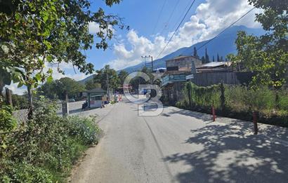 BURSA CUMALIKIZIKTA HARİKA KONUMDA BAHÇE