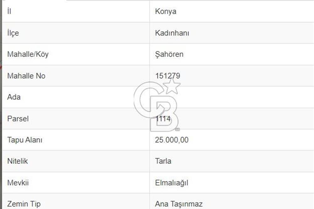 COLDWELL BANKER'DAN ŞAHÖREN'DE SATILIK TARLA