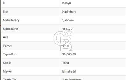 COLDWELL BANKER'DAN ŞAHÖREN'DE SATILIK TARLA