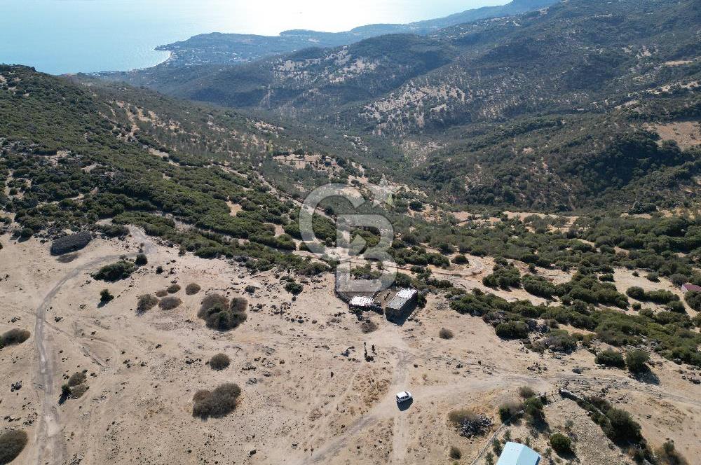 AYVACIK BALABANLI'DA MİDİLLİ MANZARALI SATILIK EV , DAM VE BAHÇE