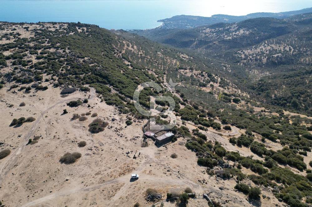 AYVACIK BALABANLI'DA MİDİLLİ MANZARALI SATILIK EV , DAM VE BAHÇE