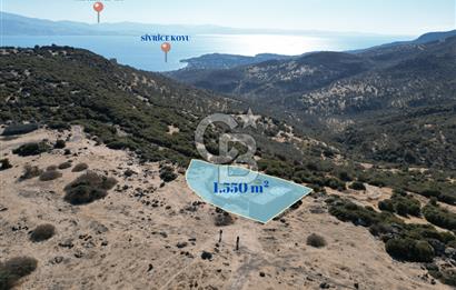 AYVACIK BALABANLI'DA MİDİLLİ MANZARALI SATILIK EV , DAM VE BAHÇE