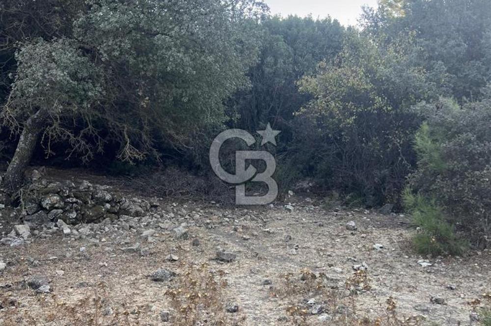 Bodrum Girel mevkii satılık yatırımlık tarla