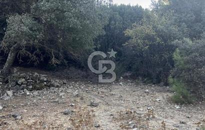 Bodrum Girel mevkii satılık yatırımlık tarla