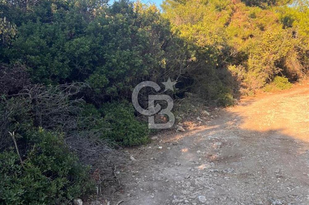 Bodrum Girel mevkii satılık yatırımlık tarla