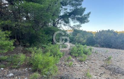 Bodrum Girel mevkii satılık yatırımlık tarla