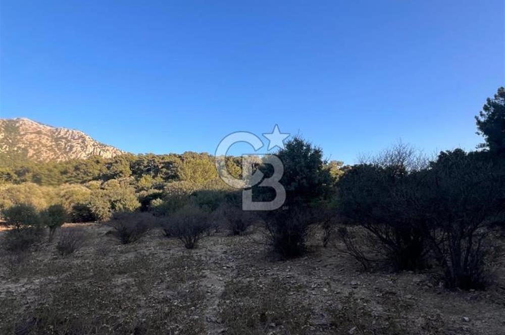 Bodrum Girel mevkii satılık yatırımlık tarla