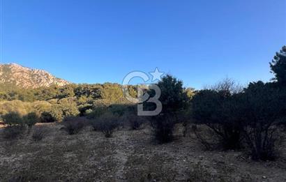 Bodrum Girel mevkii satılık yatırımlık tarla