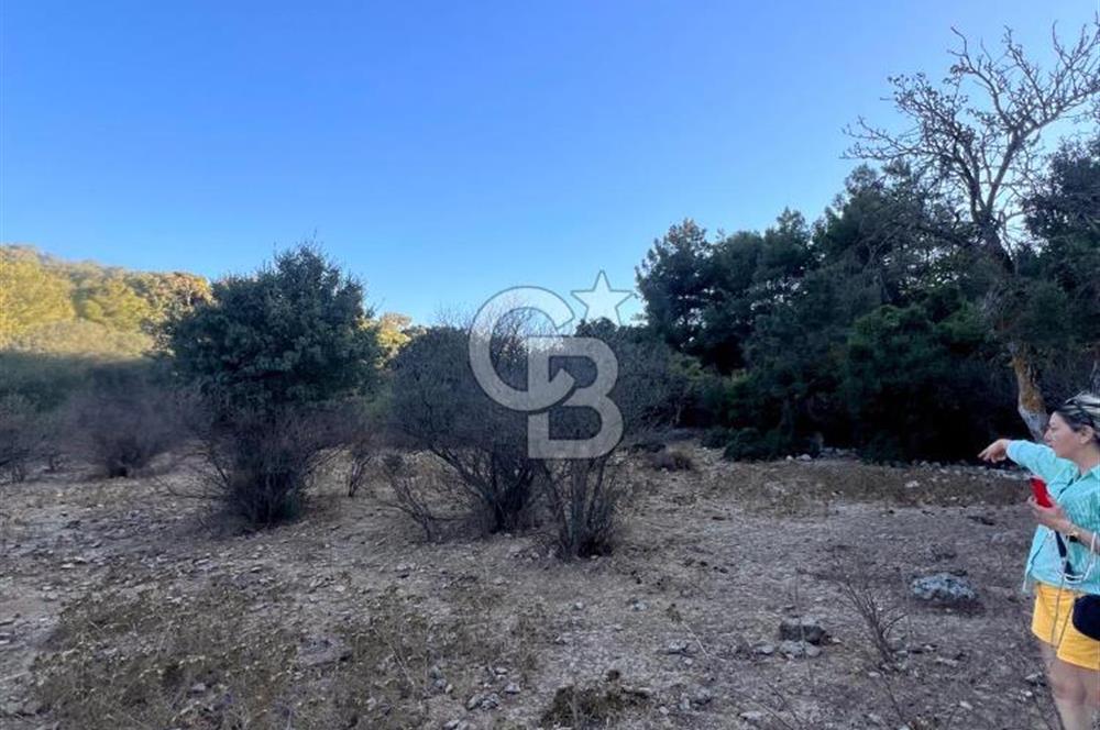 Bodrum Girel mevkii satılık yatırımlık tarla