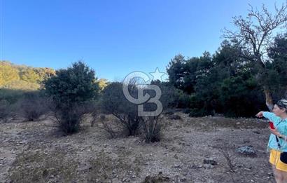 Bodrum Girel mevkii satılık yatırımlık tarla