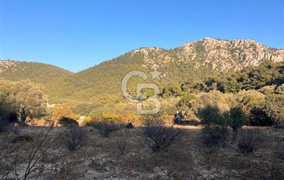 Bodrum Girel mevkii satılık yatırımlık tarla