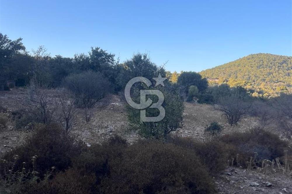 Bodrum Girel mevkii satılık yatırımlık tarla