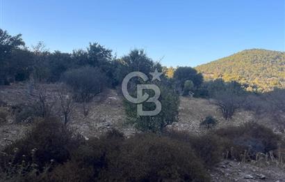 Bodrum Girel mevkii satılık yatırımlık tarla