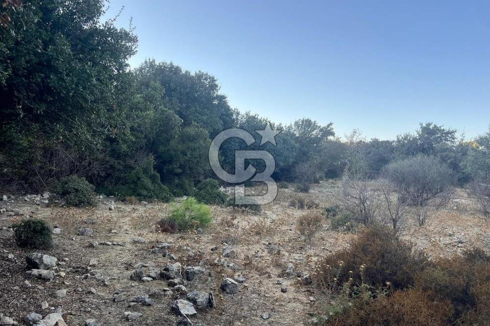 Bodrum Girel mevkii satılık yatırımlık tarla