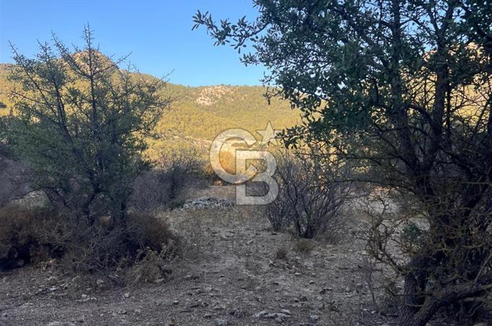 Bodrum Girel mevkii satılık yatırımlık tarla