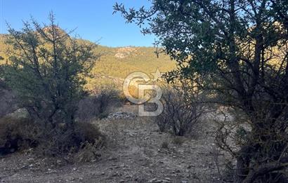 Bodrum Girel mevkii satılık yatırımlık tarla