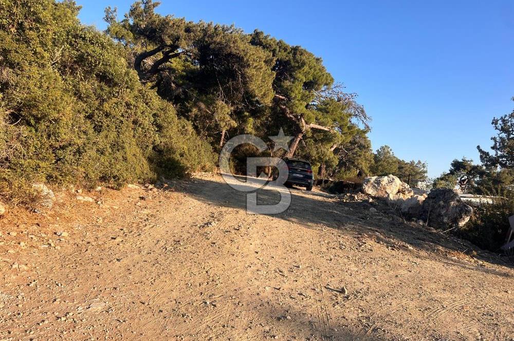Bodrum Girel mevkii satılık yatırımlık tarla