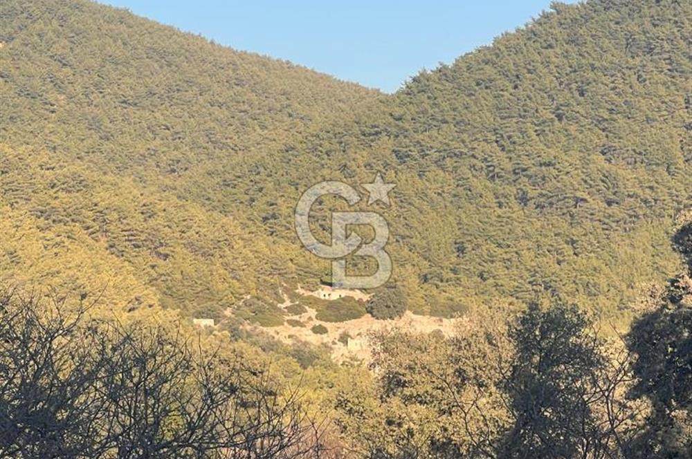Bodrum Girel mevkii satılık yatırımlık tarla