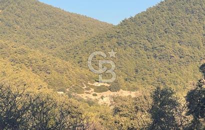 Bodrum Girel mevkii satılık yatırımlık tarla