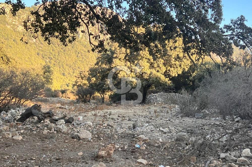 Bodrum Girel mevkii satılık yatırımlık tarla