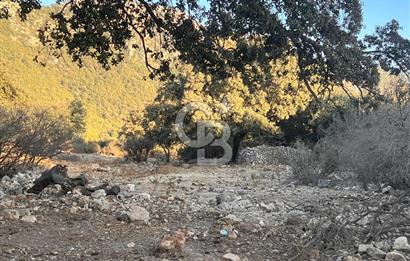 Bodrum Girel mevkii satılık yatırımlık tarla