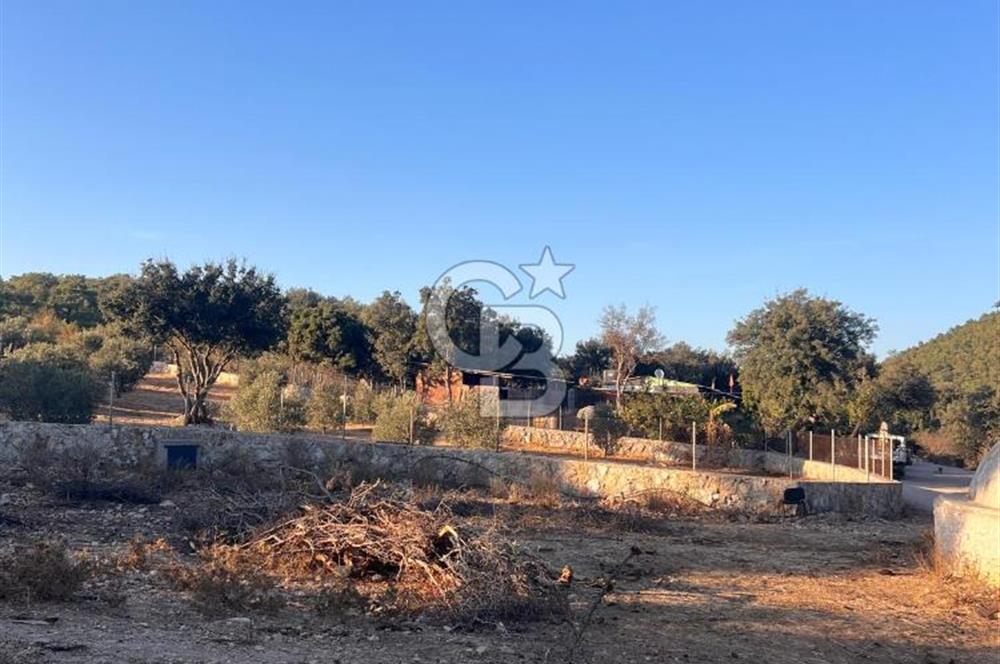 Bodrum Girel mevkii satılık yatırımlık tarla