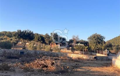 Bodrum Girel mevkii satılık yatırımlık tarla